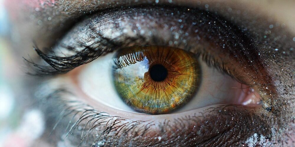 Photo by maryannandco eye, lens, photography, green, orange, human, face, eyelashes, vision, portrait, sparkle, glitter, makeu, eye, eye, eye, eye, eye