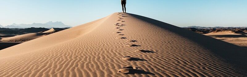 a person standing on top of a sand dune