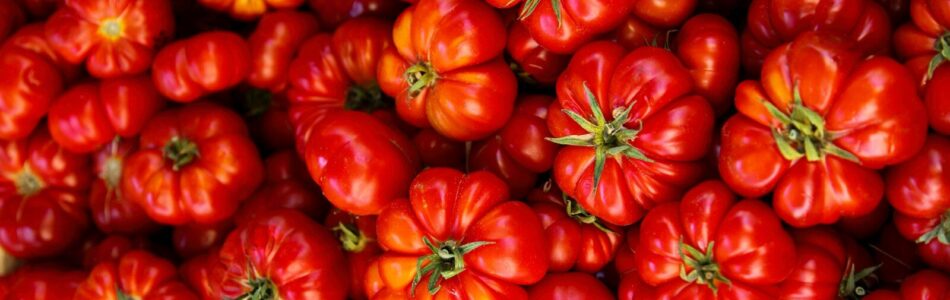 red tomato lot in box